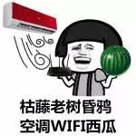 出門被曬化？七條防暑小貼士幫你安然度夏！-晟皋電氣